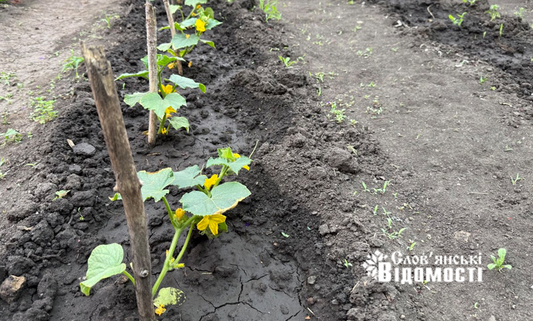 photo 5316990953933893373 y