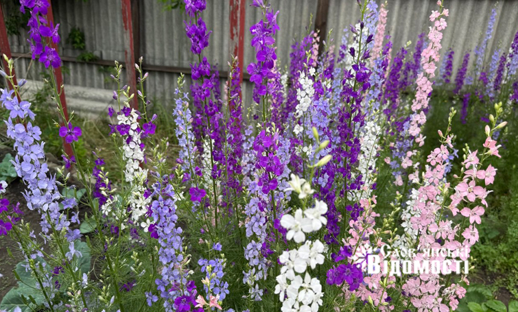 photo 5316990953933893374 y