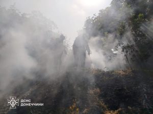 На Донеччині знову горіла трава через людську недбалість