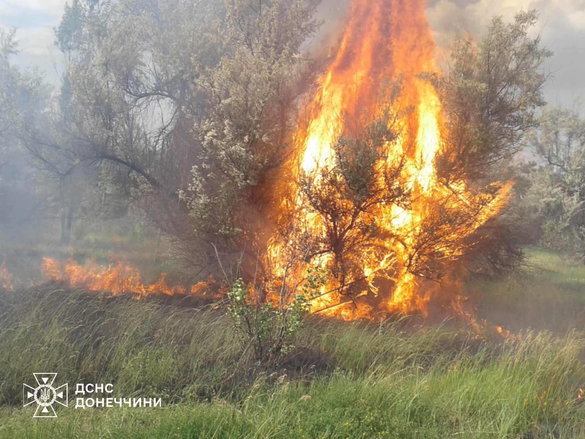 505186149 1132986972203373 1292889233316221909 n