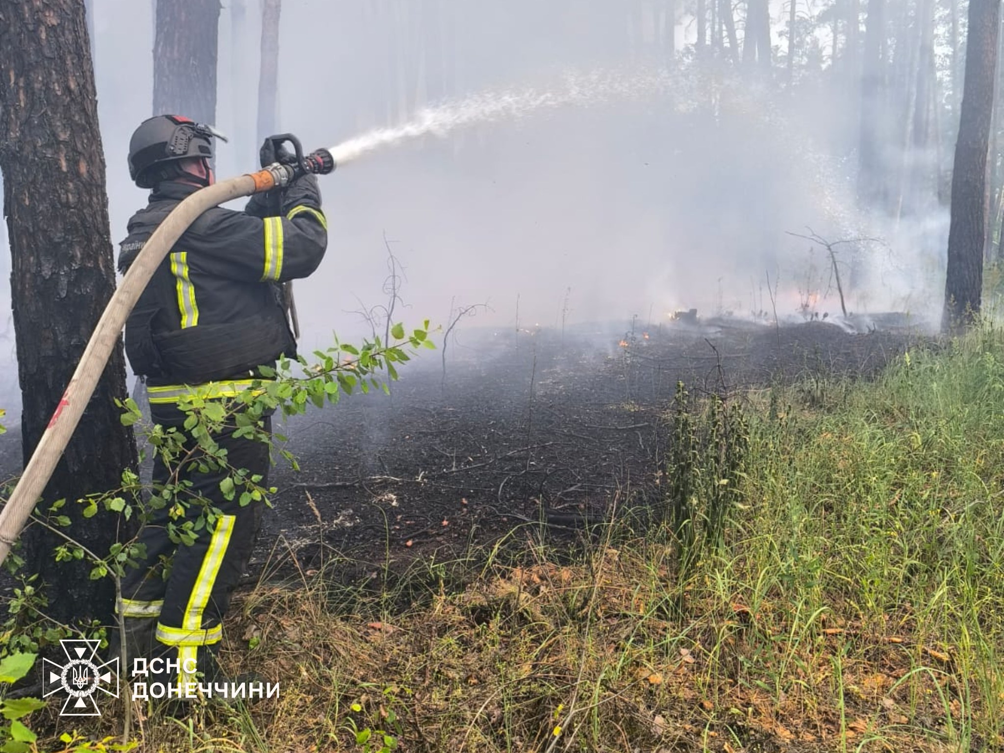 505314628 1132986985536705 3203801326759828253 n