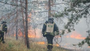 Масштабну лісову пожежу на Лиманщині вдалося загасити на п’ятий день