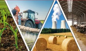 Малий та середній агробізнес Донеччини може отримати фінансову підтримку до 75 000 доларів США