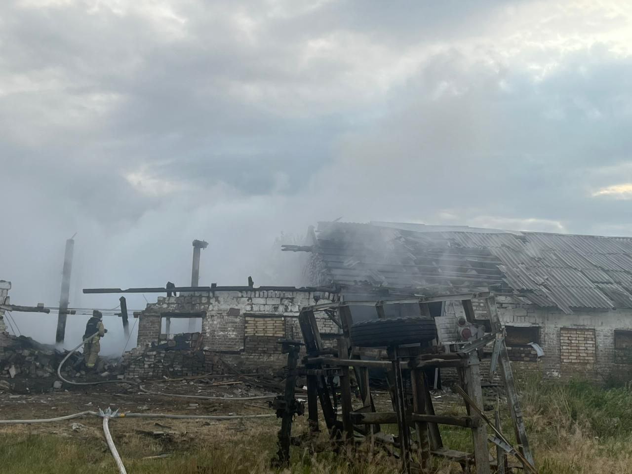 photo 2025 06 16 10 05 13 3