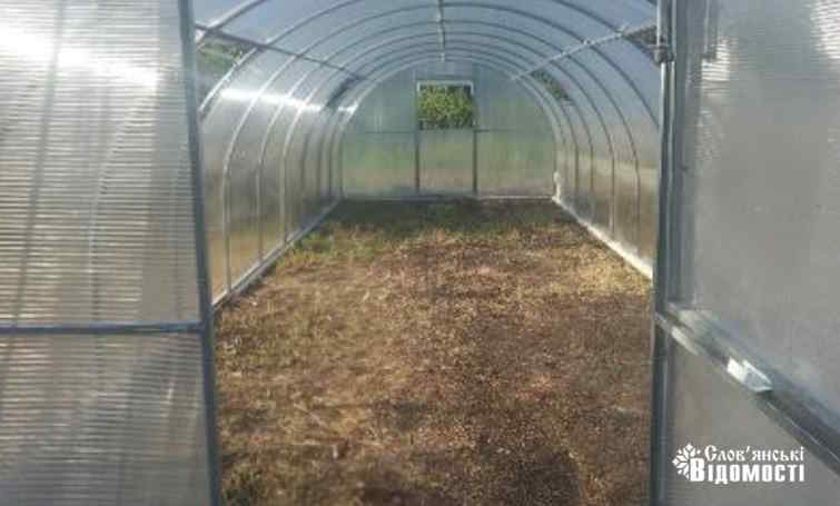 photo 2025 06 17 14 04 09 4