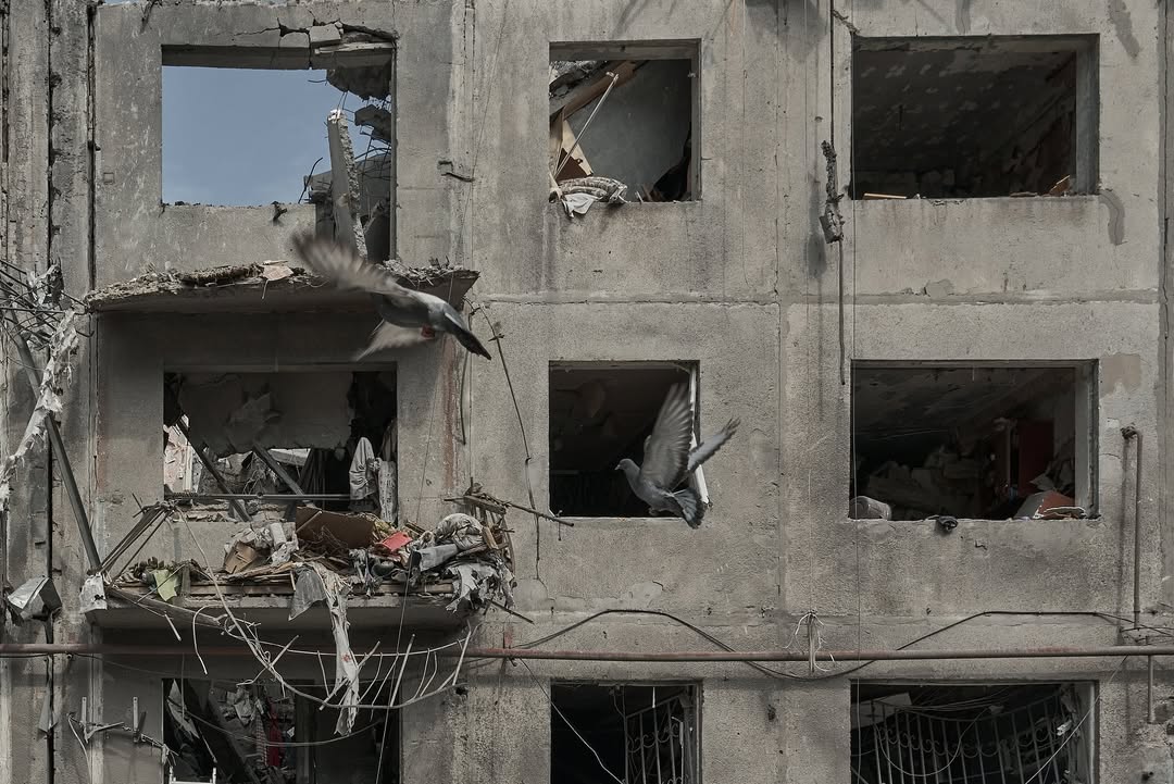 photo 2025 06 22 11 22 58 2