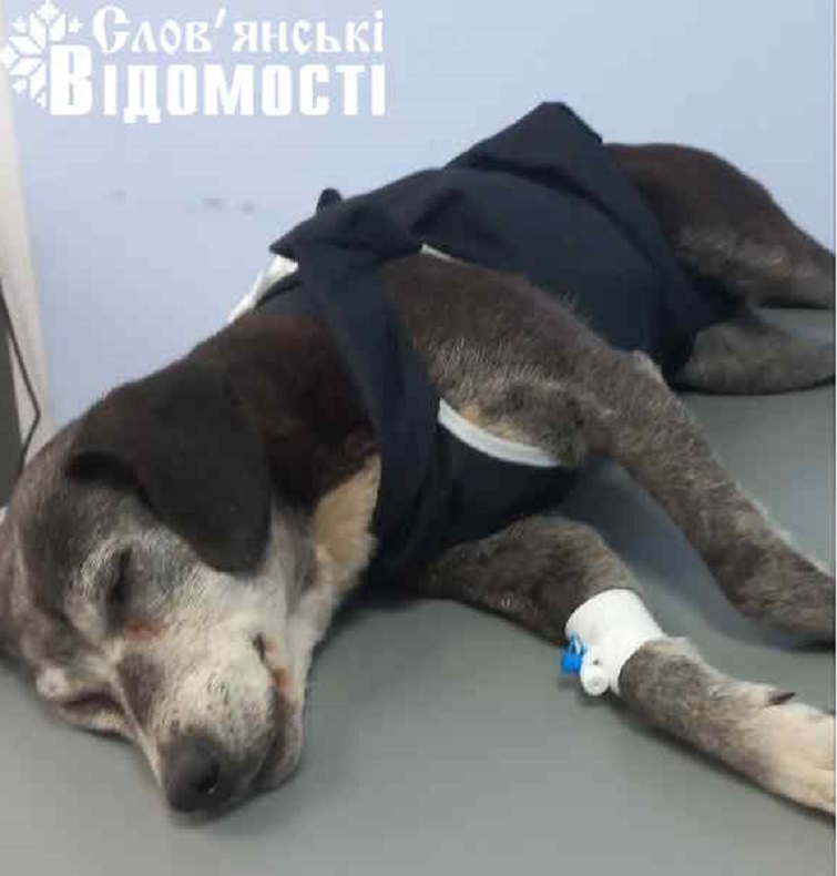 photo 2025 06 24 23 50 29