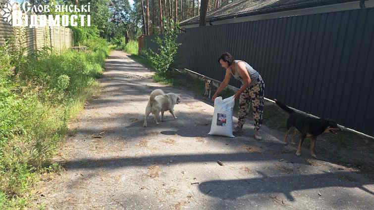 photo 2025 06 24 23 50 30