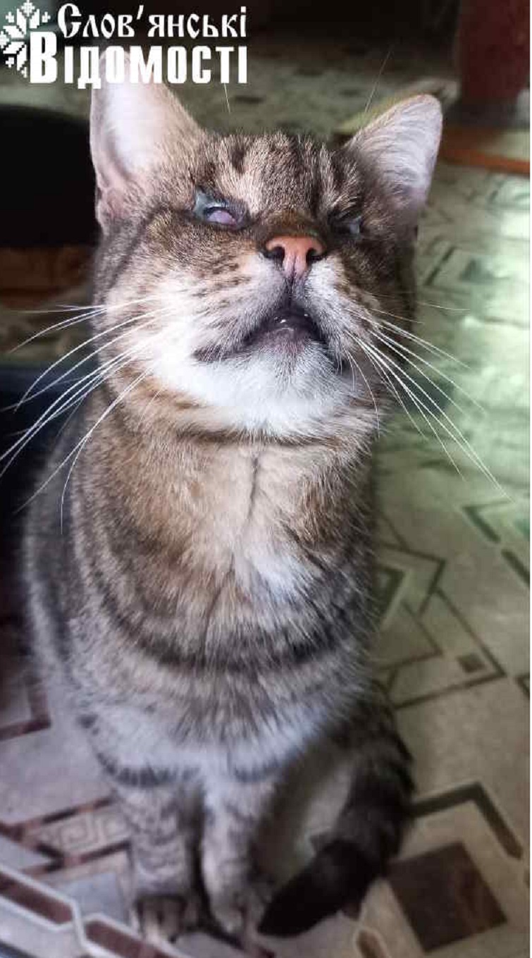 photo 2025 06 24 23 50 30 3