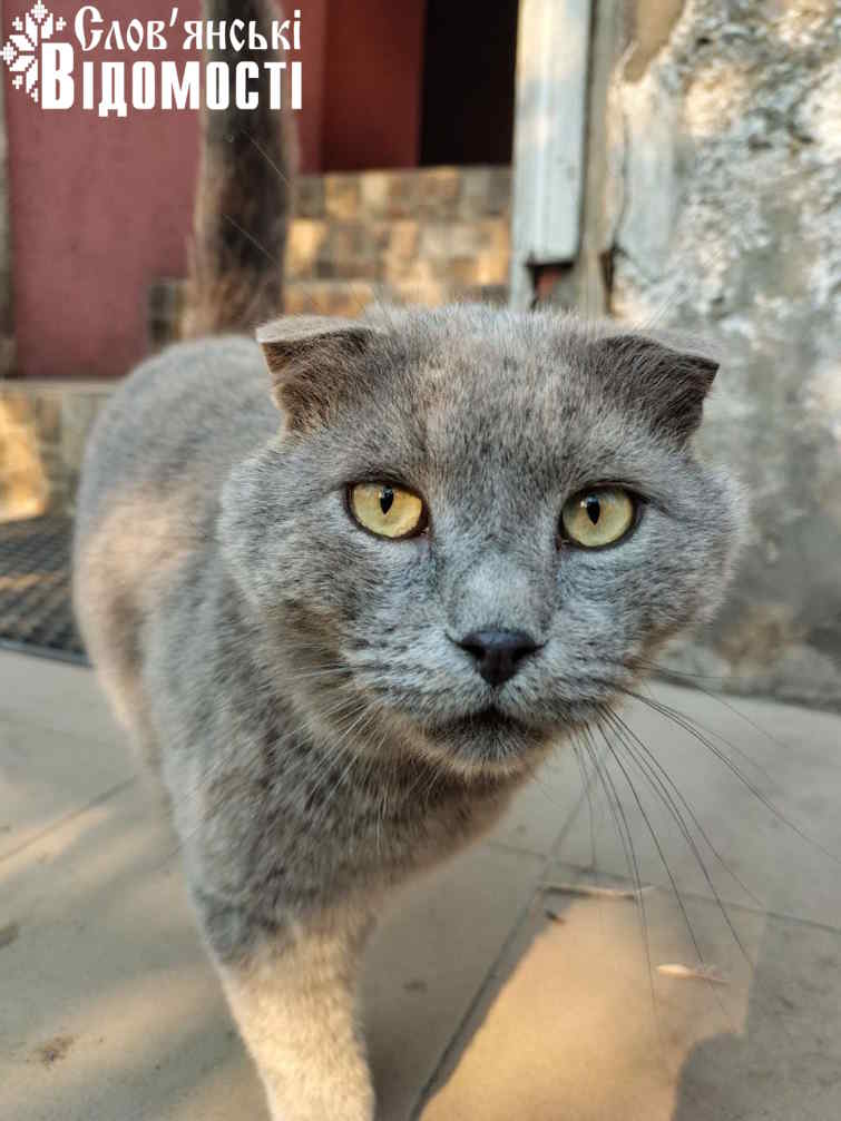 photo 2025 06 24 23 50 30 4