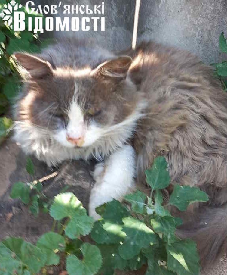 photo 2025 06 24 23 50 30 5