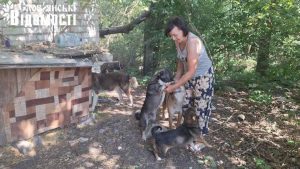 У Святогірську волонтерка понад 15 років рятує безпритульних тварин