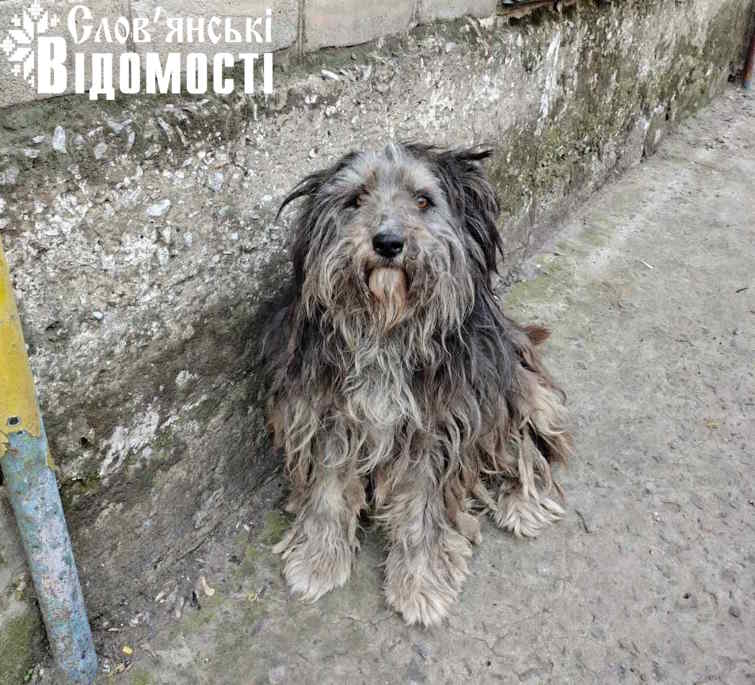 photo 2025 06 24 23 50 31 4