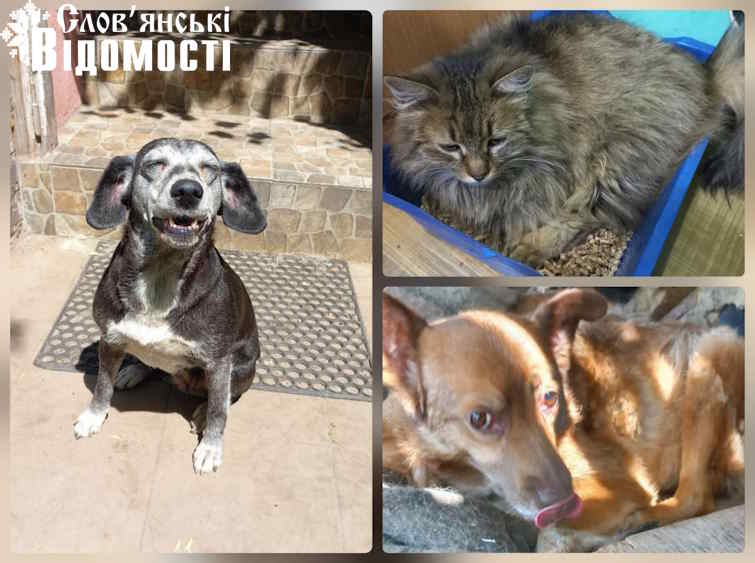 photo 2025 06 25 13 05 47