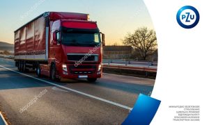 Оформлення Зеленої картки для юридичних осіб: що варто пам’ятати