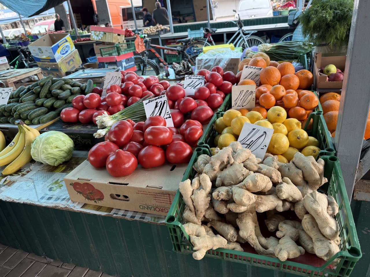 photo 5318843970329113298 y