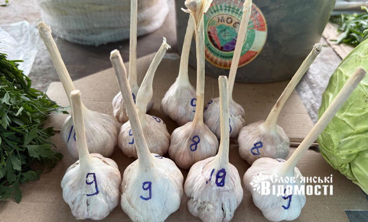 photo 5318843970329113333 y