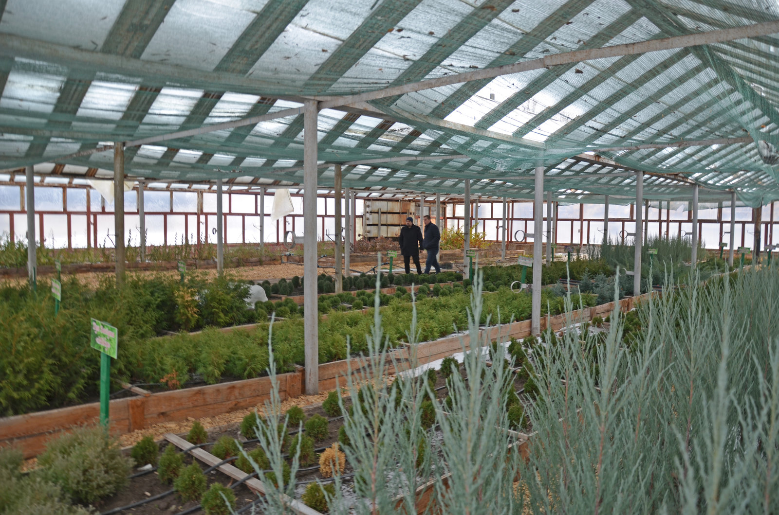 13523162613 1059425912965450 3475363776138946329 n