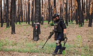 Святі гори під захистом: піротехніки рятують ліси від вибухів та пожеж. Відео