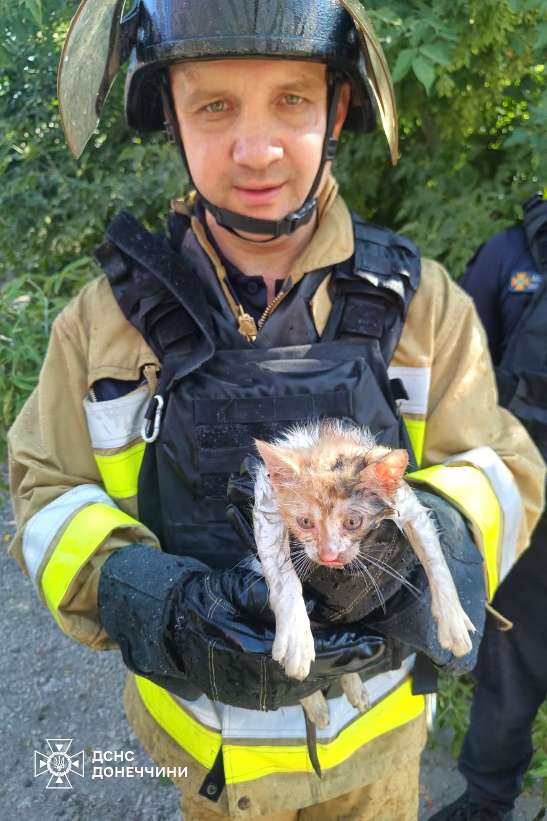 517395052 1162567975911939 9015419416769309802 n