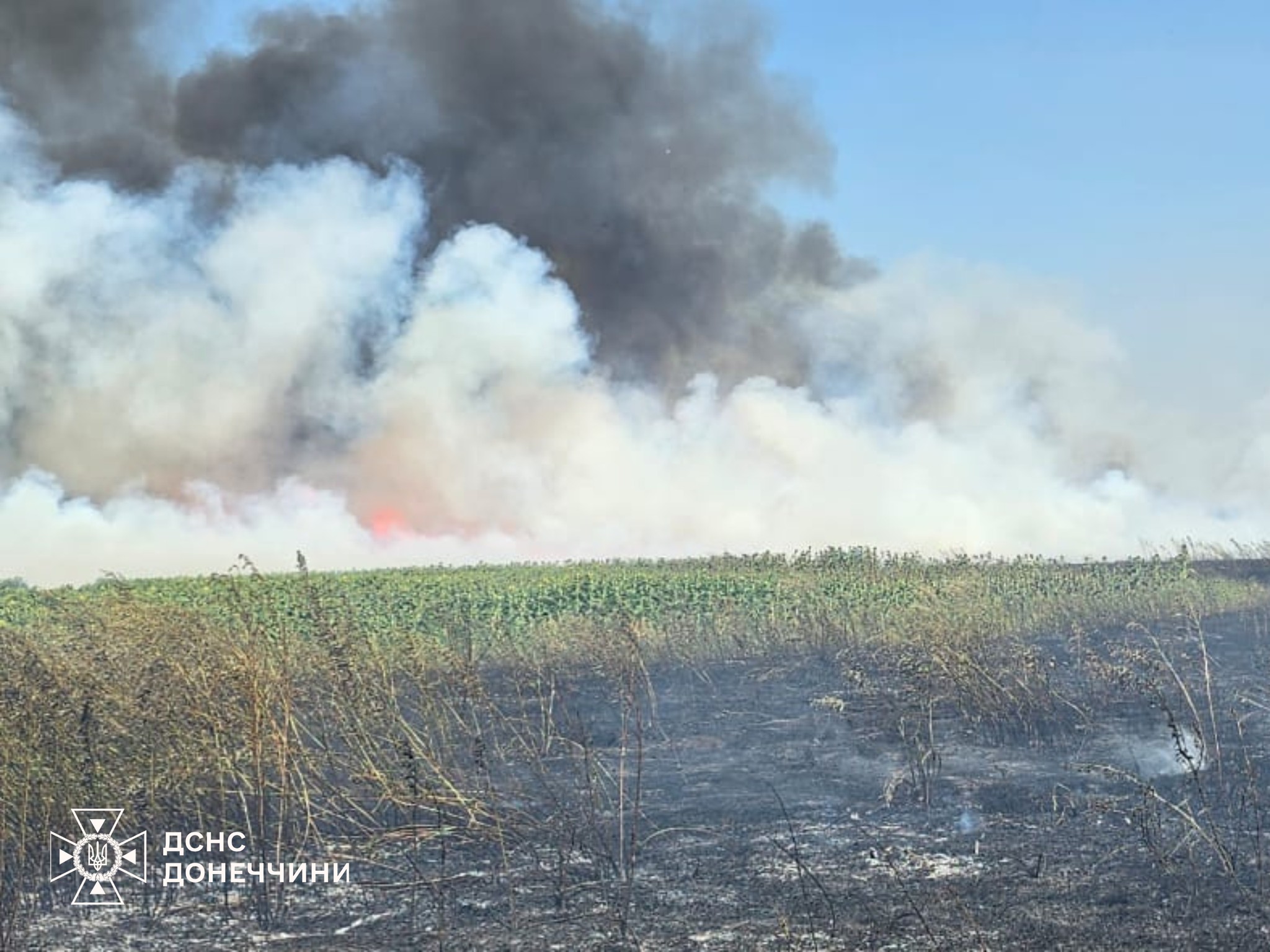 517574967 1156778296490907 2132422046353058080 n