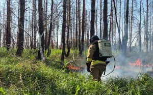 Дві масштабні пожежі у Слов’янську та Діброві знищили по 6 гектарів лісу