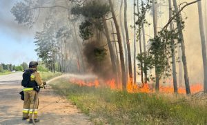 Горять ліси Лиманської громади: пожежа вже охопила 19 гектарів