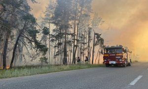 Лиманщина знову у вогні: горіло понад 65 гектарів лісу