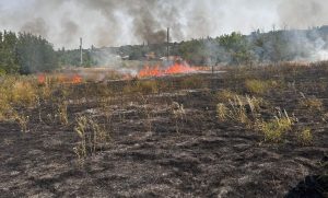 Унікальну природу регіону продовжують знищувати пожежі