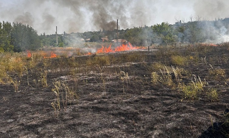 Унікальну природу регіону продовжують знищувати пожежі