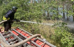 У Слов’янську пожежі охопили площу у 200 кв.м.