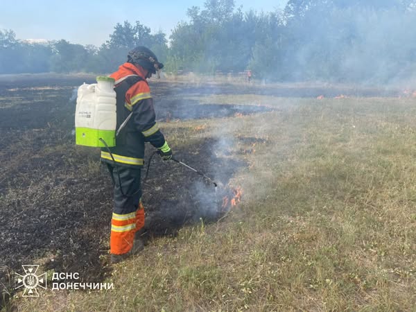 520752654 1165378008964269 7033376036599739750 n