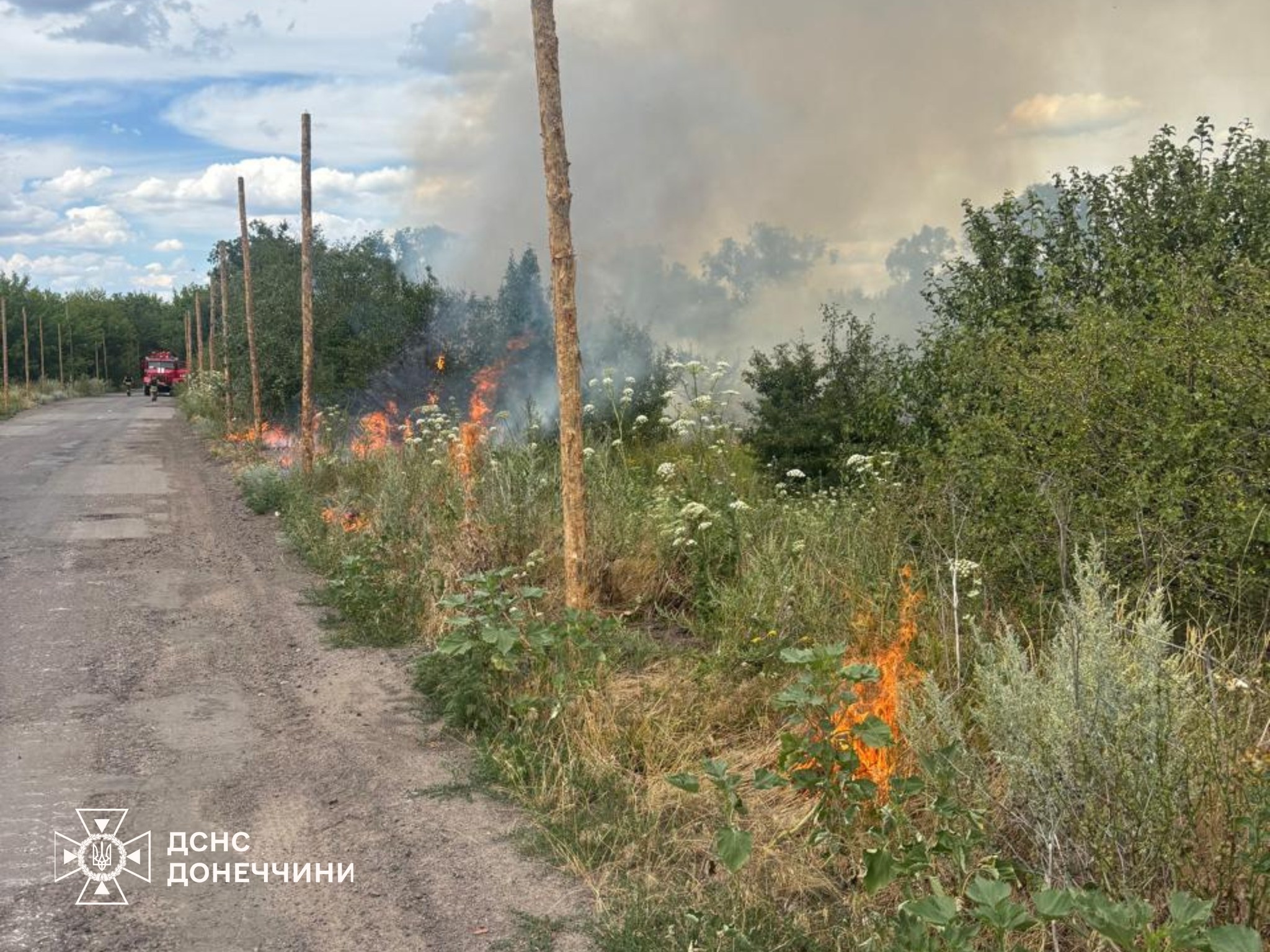 521656582 1165377985630938 5574847966689825313 n