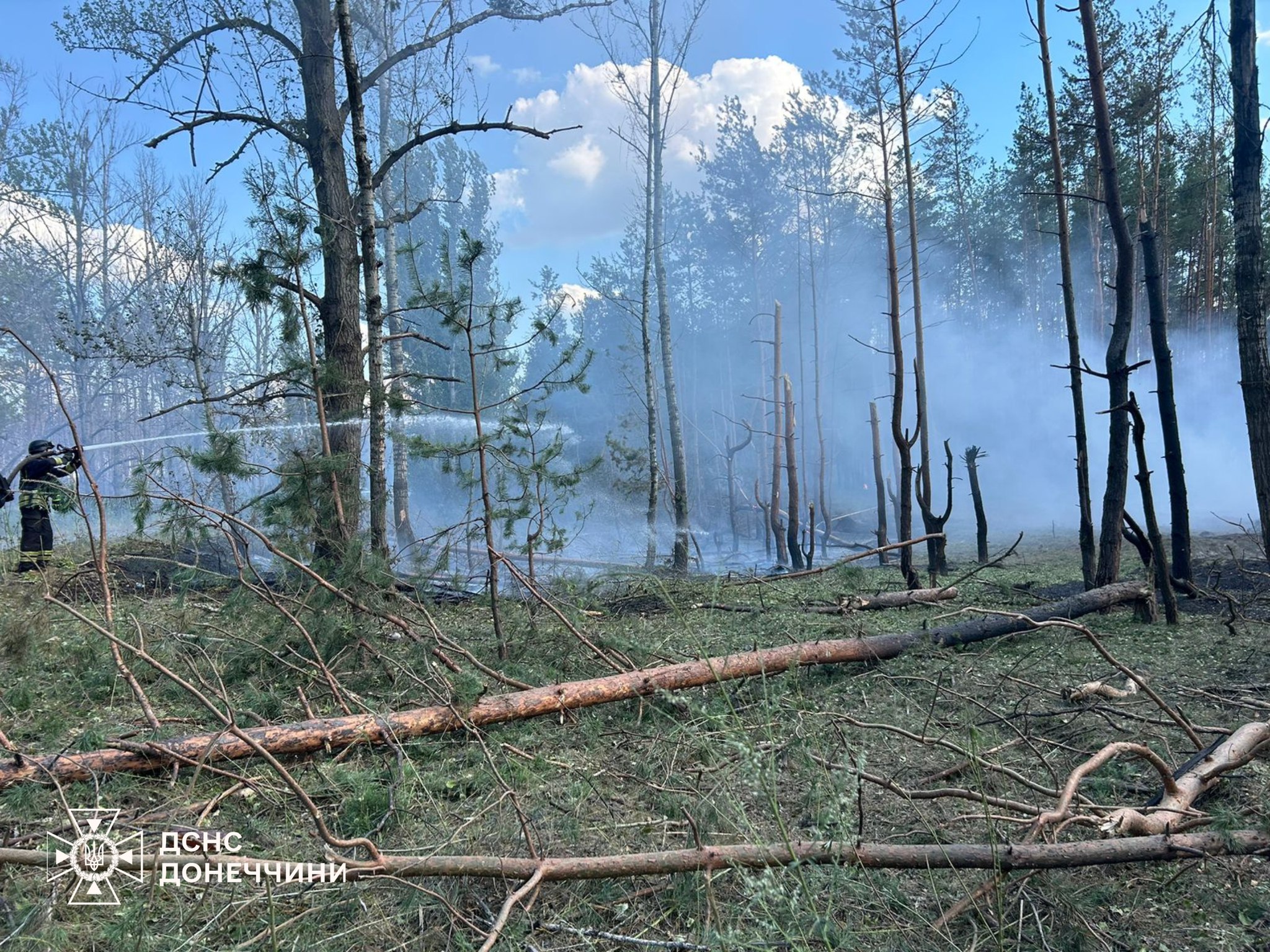 521952202 1166958598806210 8427915642723119515 n