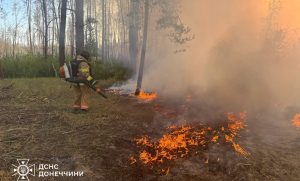 8 гектарів лісу та трави згоріло на Лиманщині минулої доби