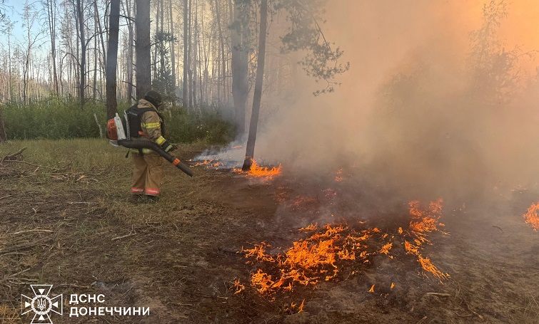 8 гектарів лісу та трави згоріло на Лиманщині минулої доби