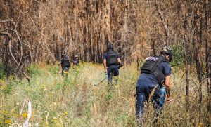 28 вибухонебезпечних предметів виявили та знищили сапери за одну добу