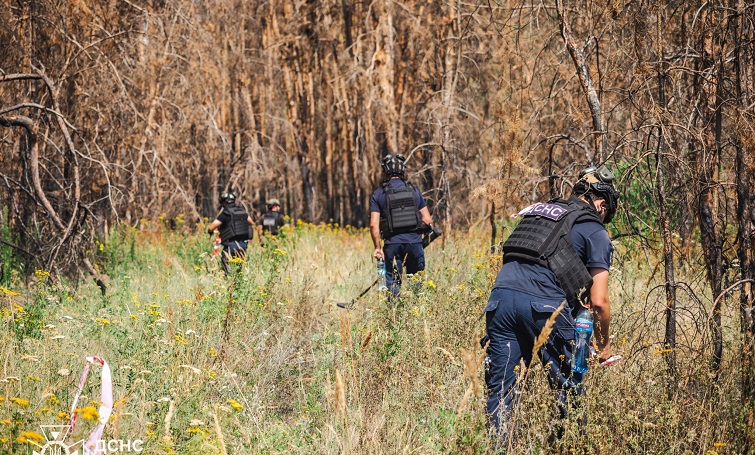 28 вибухонебезпечних предметів виявили та знищили сапери за одну добу