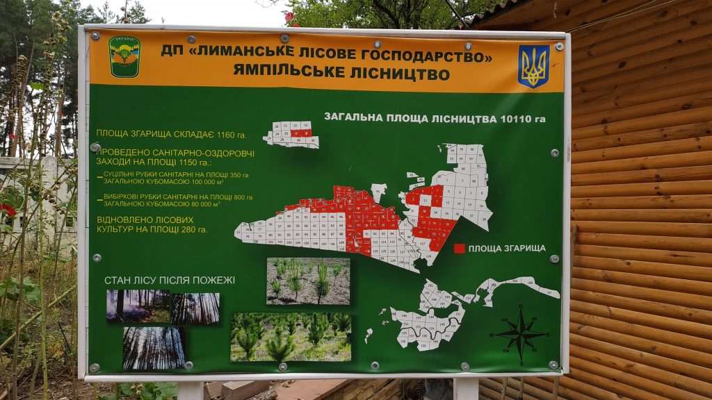 «Лиманське лісове господарство» припинило своє існування після майже 60 років роботи