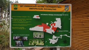 «Лиманське лісове господарство» припинило своє існування після майже 60 років роботи