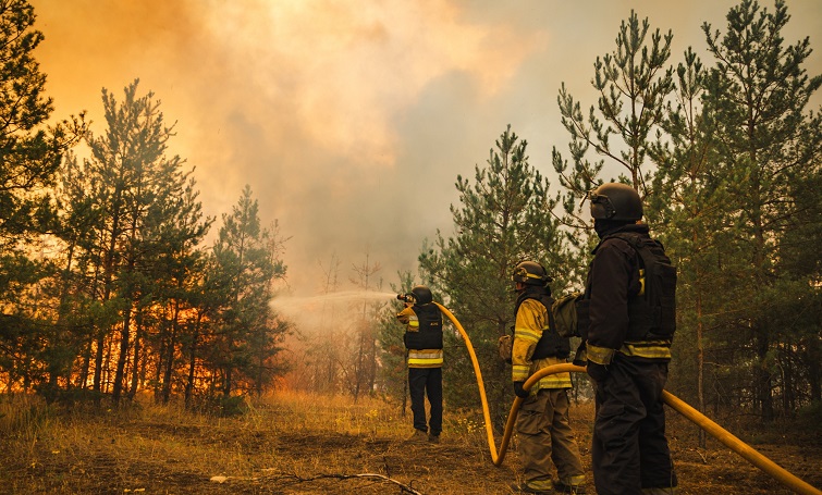У Слов’янську та Лимані знову виникли пожежі в екосистемах