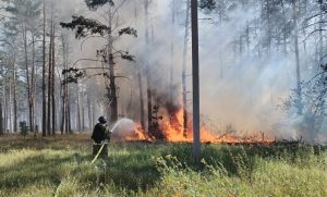 Пожежі не вщухають: у Слов’янську горіло сміття на 3 га, на Лиманщині – ліс