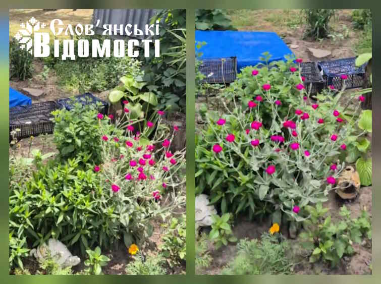 photo 2025 07 03 18 41 05