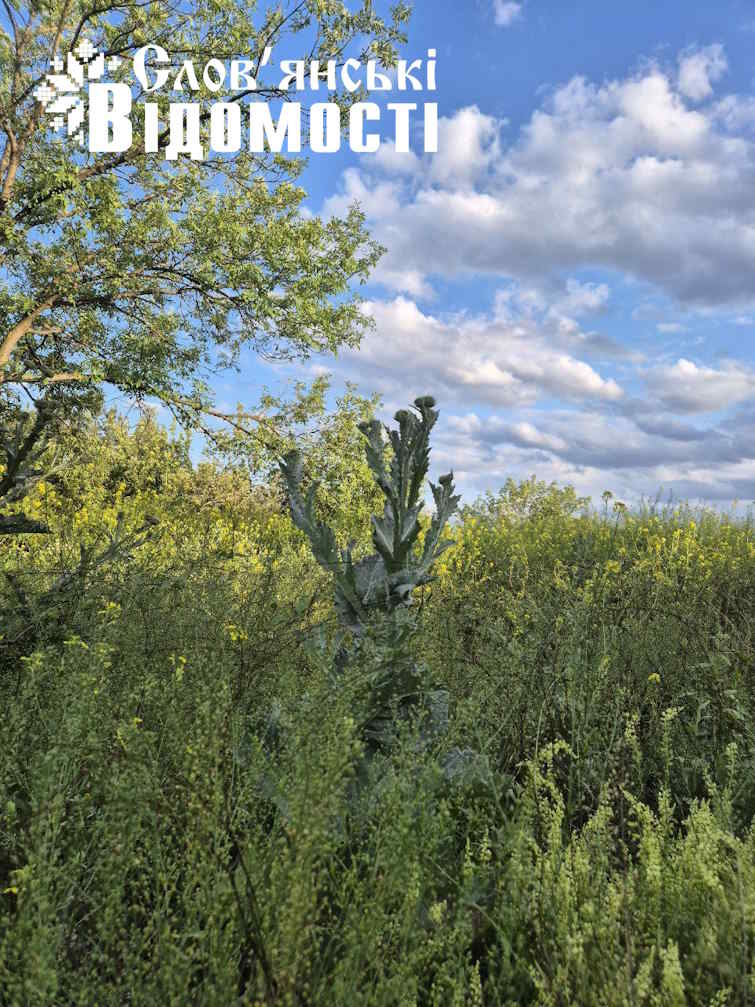 photo 2025 07 04 23 58 23 2