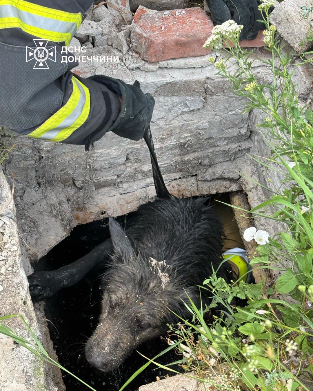 photo 2025 07 15 15 46 05