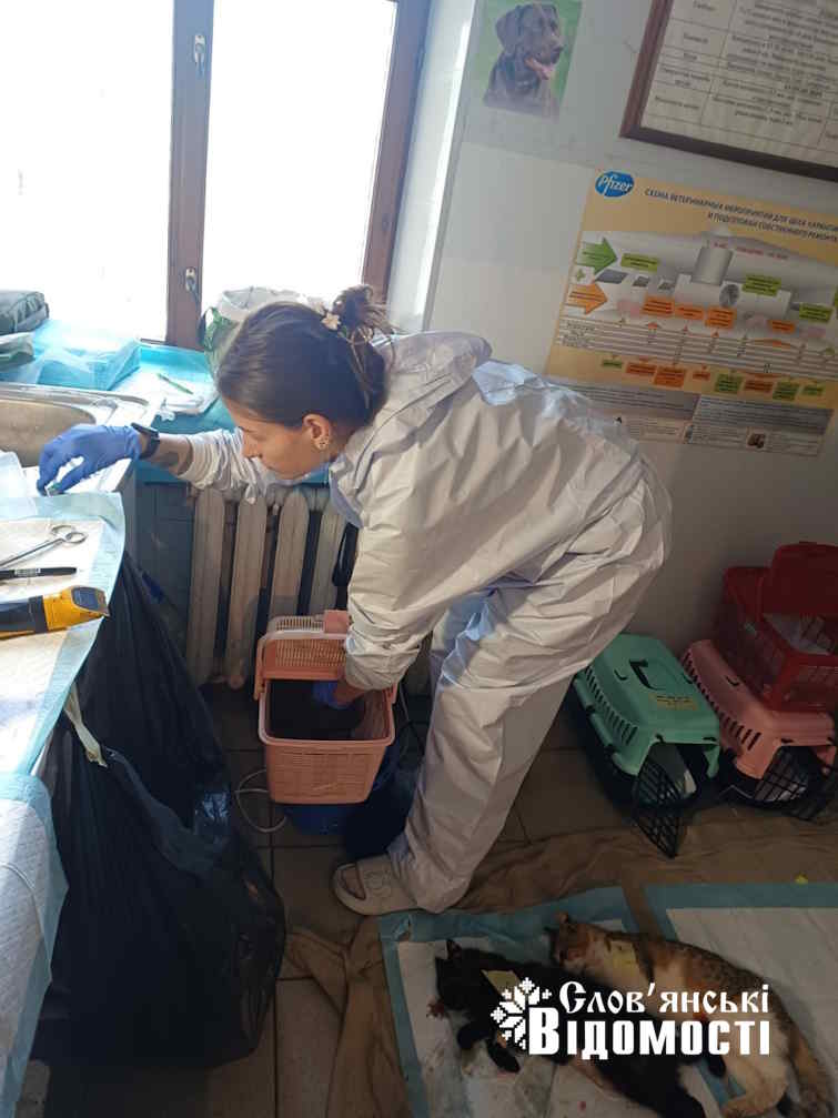 photo 2025 07 16 19 02 01