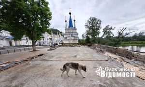 Стерилізація безпритульних тварин: досвід Слов’янська та проблемні тендери в Святогірську
