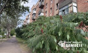 Слов’янськ накрив дощ, однак прохолоди не приніс (фото)