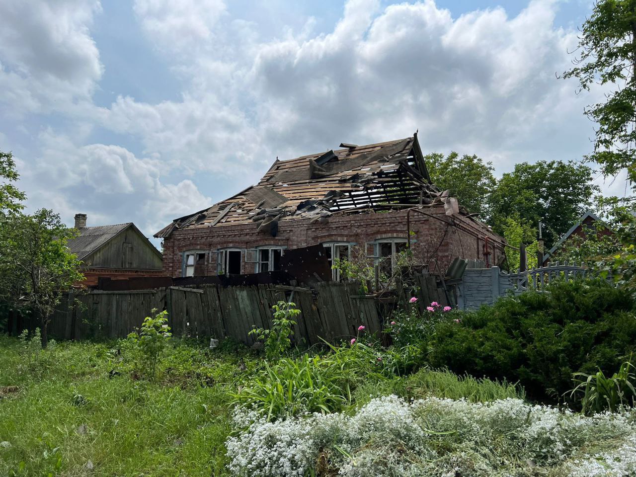 photo 2025 07 18 10 07 35 5