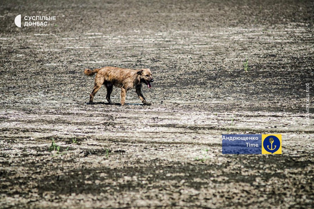 photo 2025 07 22 21 42 20 3